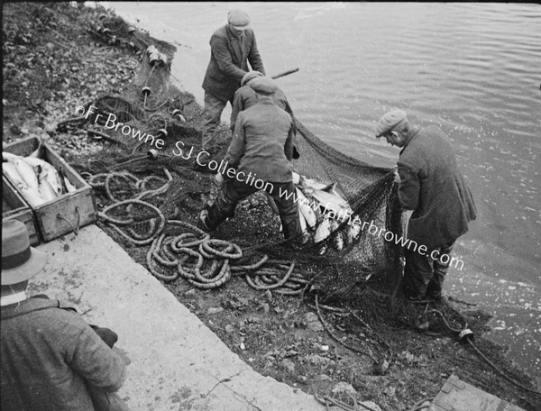 SALMON - NETTING ON THE MOY